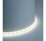 Лента светодиодная FERON 180SMD(2835)/m 17W/m 12V 5m 6500К, LS626 51640 5
