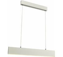 Подвесной светильник ST LUCE PERCETTI SL567.503.01