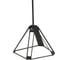 Подвесной светильник ST LUCE PIALETO SL843.413.04 3