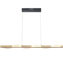 Подвесной светильник Vele Luce Drop VL7194P06