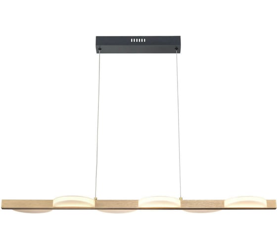 Подвесной светильник Vele Luce Drop VL7194P06 1