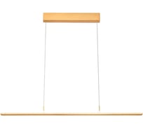 Подвесной светильник Vele Luce Futuro VL7224P01