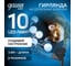 Садовая гирлянда на солнечной батарее Gauss Solar, 10 LED ламп, большие шары, белый свет GS033 3