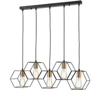 Подвесной светильник Vele Luce Luca VL6232P05