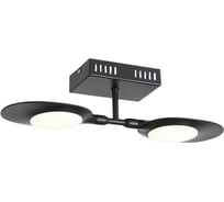 Настенно-потолочный светильник ST LUCE FARFALO SL824.401.02