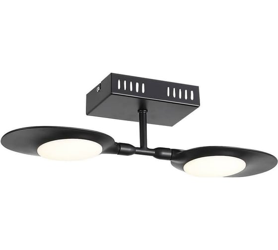 Настенно-потолочный светильник ST LUCE FARFALO SL824.401.02