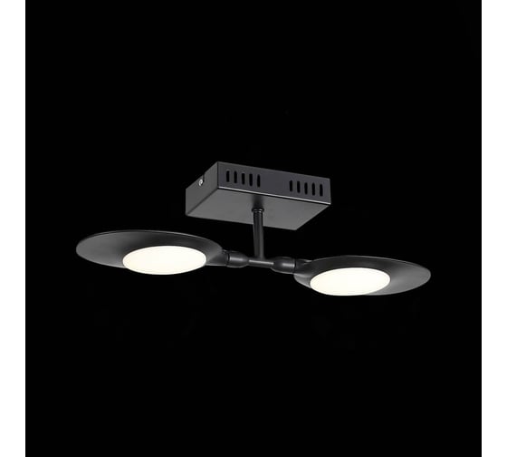 Настенно-потолочный светильник ST LUCE FARFALO SL824.401.02