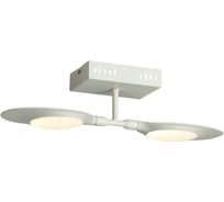 Настенно-потолочный светильник ST LUCE FARFALO SL824.501.02