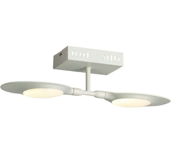 Настенно-потолочный светильник ST LUCE FARFALO SL824.501.02 1
