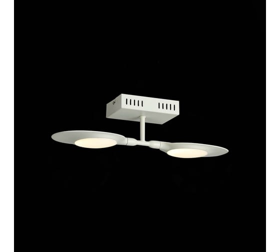 Настенно-потолочный светильник ST LUCE FARFALO SL824.501.02