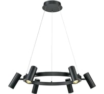 Подвесной светильник Vele Luce Neo VL10012P06