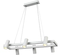 Подвесной светильник Vele Luce Neo VL10021P06