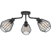 Потолочный светильник EGLO TARBES 31531