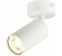 Потолочный светильник ST LUCE DARIO ST303.502.01