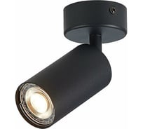 Потолочный светильник ST LUCE DARIO ST303.402.01