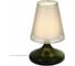 Настольная лампа ST LUCE AMPOLLA SL974.904.01 1