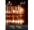 Светильник подвесной ARTE LAMP A4111LM-16GO 3