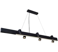 Подвесной светильник Vele Luce Chela VL10142P06