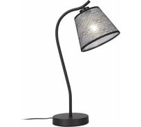 Настольная лампа ST LUCE TABELLA SL964.404.01