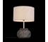 Настольная лампа ST LUCE TABELLA SL991.474.01 3