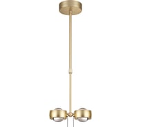 Светильник ODEON LIGHT подвесной LED 20W OTTICO 3874/20L