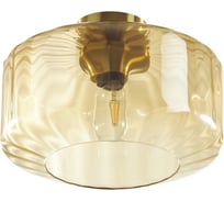 Потолочный светильник ODEON LIGHT стекло E27 1*60W BINGA 4747/1C