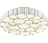 Накладной светильник Vele Luce Bible VL7151L01