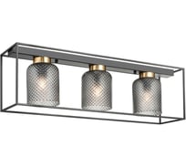 Накладной светильник Vele Luce Morrison VL5472L03