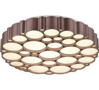 Накладной светильник Vele Luce Bible VL7156L01