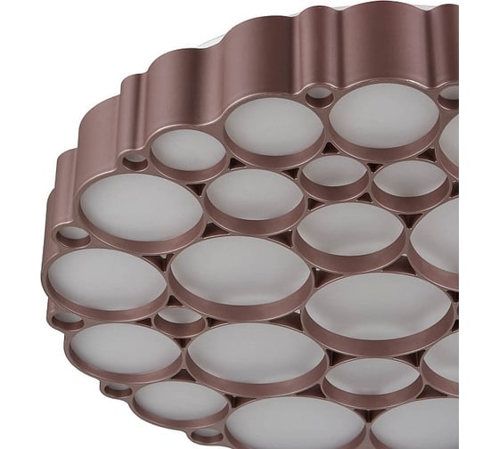 Накладной светильник Vele Luce Bible VL7156L01