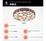 Накладной светильник Vele Luce Bible VL7156L01 5
