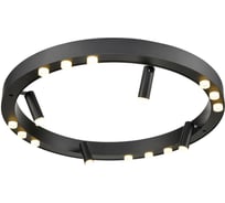 Накладной светильник Vele Luce Satellite VL7172L12