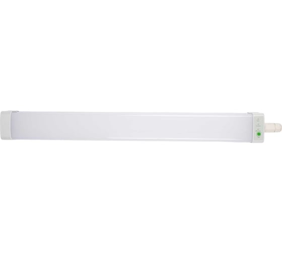Светильник светодиодный настенно-потолочный Jazzway PWP-C3-E1 600 18Вт 4000К (5Вт в аварийном режиме) 5065222