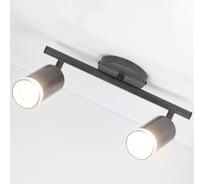 Светильник General Lighting Systems спот, двойной, на круглом основании, с боковым рассеивателем, накладной, серия Башня, GWL-2GU 662074
