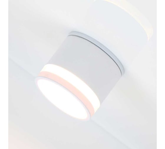 Садово-парковый уличный светильник спот General Lighting Systems GWL-GX53-M-IP65 накладной, патрон GX53 661950
