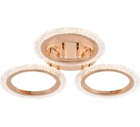 Светильник потолочный светодиодный Rivoli Evlalia 6178-703 LED 42Вт 3000-6000К с пультом Б0068399