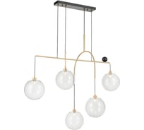 Подвесная люстра Vele Luce Freedom VL5544P05