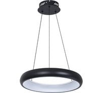 Светильник подвесной ARTE LAMP A6028SP-46BK