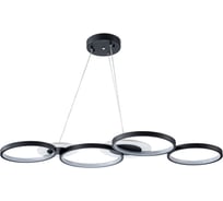 Светильник подвесной ARTE LAMP A2452SP-100BK
