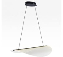 Подвесной светильник Citilux SKATT LED Чёрный CL213131