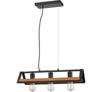 Подвесной светильник Vele Luce Reef VL6072P31