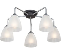 Люстра Vitaluce V4952-9/5PL