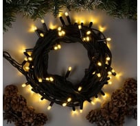 Гирлянда-нить Luazon PRO, IP65, УМС-3W, 10 м, Н.Т. Каучук LED-100-220V, БП, теплый белый 1080635