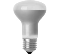 Лампа накаливания TDM ELECTRIC (10шт/упак) зеркальная R63-75 Вт-230 В-Е27 SQ0332-0031