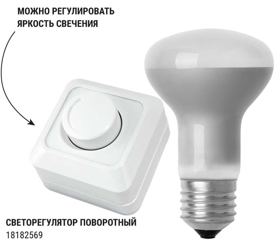 Лампа накаливания TDM ELECTRIC (10шт/упак) зеркальная R63-75 Вт-230 В-Е27 SQ0332-0031