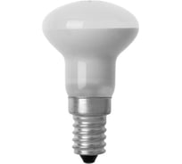 Лампа накаливания TDM ELECTRIC (10шт/упак) зеркальная R50-40 Вт-230 В-Е14 SQ0332-0027