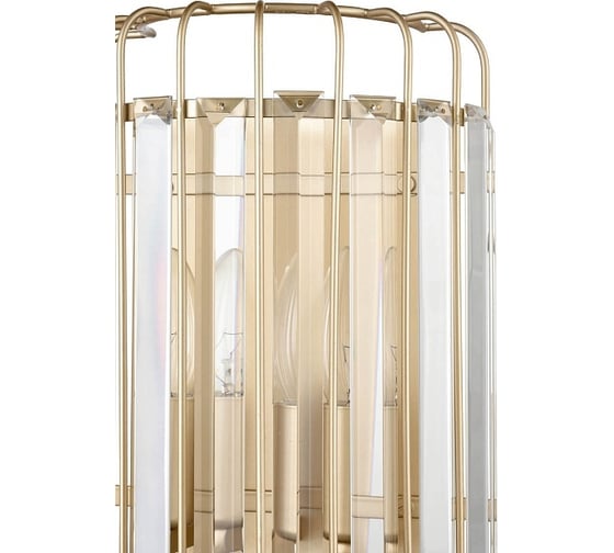 Накладной светильник Vele Luce Angelica VL3044W02