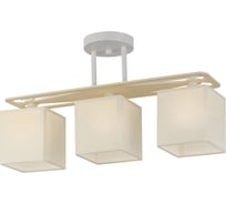 Потолочный светильник Escada E27x60W, Chrome/White 1117/3PL