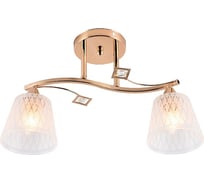 Потолочный светильник Escada E27x60W, Gold 1125/2PL