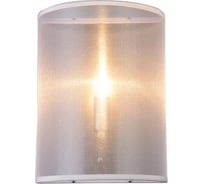 Накладной светильник Vele Luce Effe VL4135W01